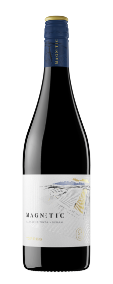 Magnetic Tinto