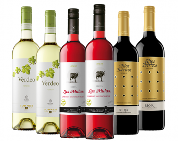 Colección Verano 2022 Bronze