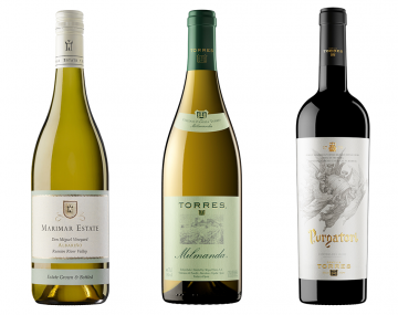 Colección Verano 2022 Gold