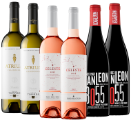Colección Bronze Verano 2025