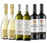 Bronze Invierno 2025