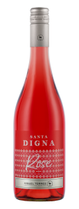 Santa Digna Rose